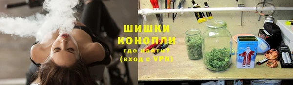 сатива Дмитров