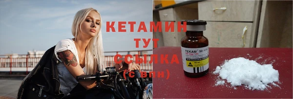 кокс Дмитриев