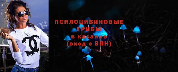 мдпв Дмитровск