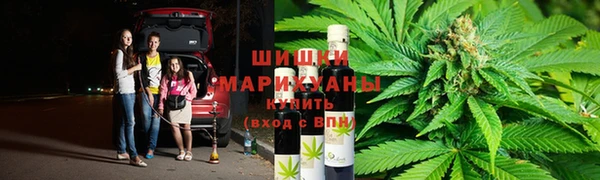 сатива Дмитров