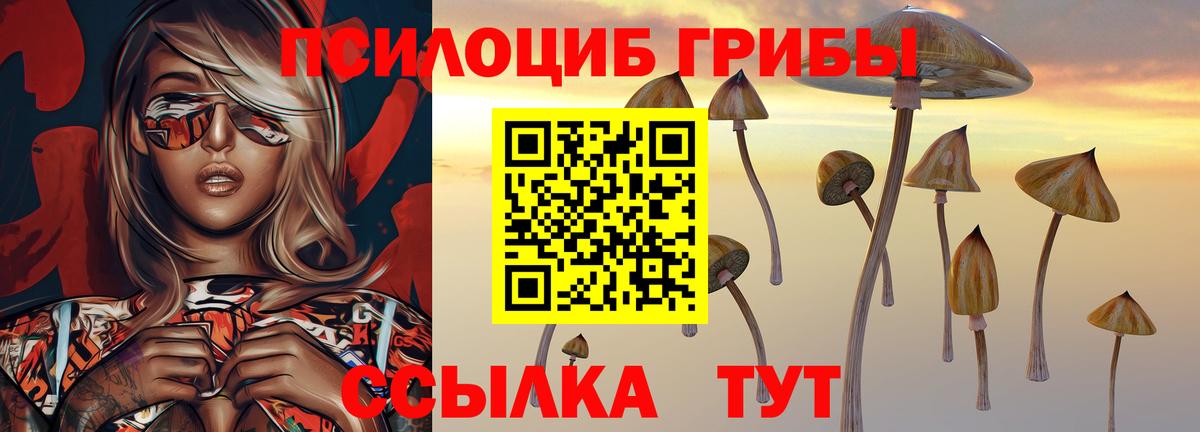 Галлюциногенные грибы MAGIC MUSHROOMS  Вход с VPN  Заречный 
